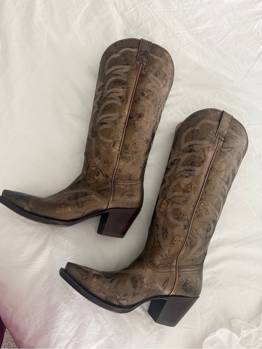 Shyanne Brown/Metallic Embroidered Western Boots